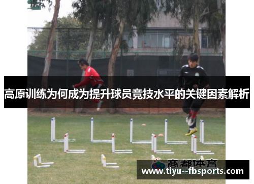 高原训练为何成为提升球员竞技水平的关键因素解析