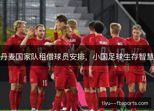 丹麦国家队租借球员安排,小国足球生存智慧 丹麦国家队租借球员安排,小国足球生存智慧